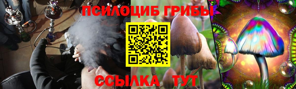 Калач-на-Дону  цены наркотик  Вход с VPN  Галлюциногенные грибы Cubensis  Псилоцибиновые грибы Psilocybe 